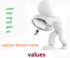 expired domain name values