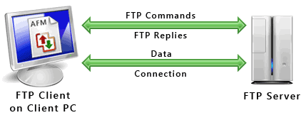 FTP 